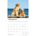 thumbnail image 4 of For the Love of Golden Retrievers | 2026 14x24" Wall Calendar | Plastic-Free, 4 of 9