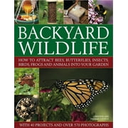 Backyard Wildlife : How to attract bees, butterflies, insects, birds, frogs and animals into your garden (Paperback)