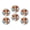 C0133, variant on Glass Refrigerator Magnet 6Pcs Magnetic Fridge Sticker,Decor for Kitchen,Whiteboard,Cabinet,Adult Jack Russell Terrier