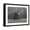 Black Frame, variant on Art.com Elephant And Dog Sit Under The Rain Stretched Canvas Print Wall Art by Mike_Kiev, 32" x 24"