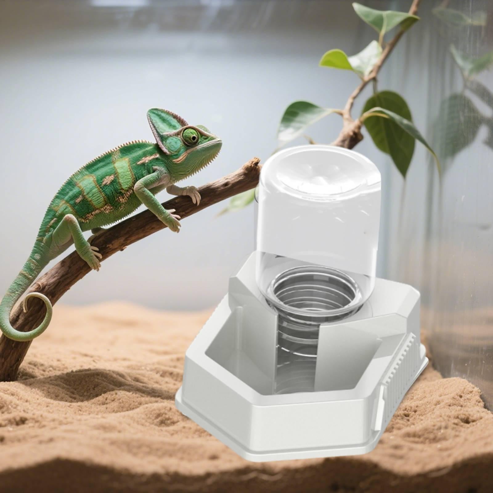 Serenable Reptile Food Feeder Bowl Feeding Accessories High Performance Pet Supplies Water Dispenser Drinking Tool for Tortoise Geckos White