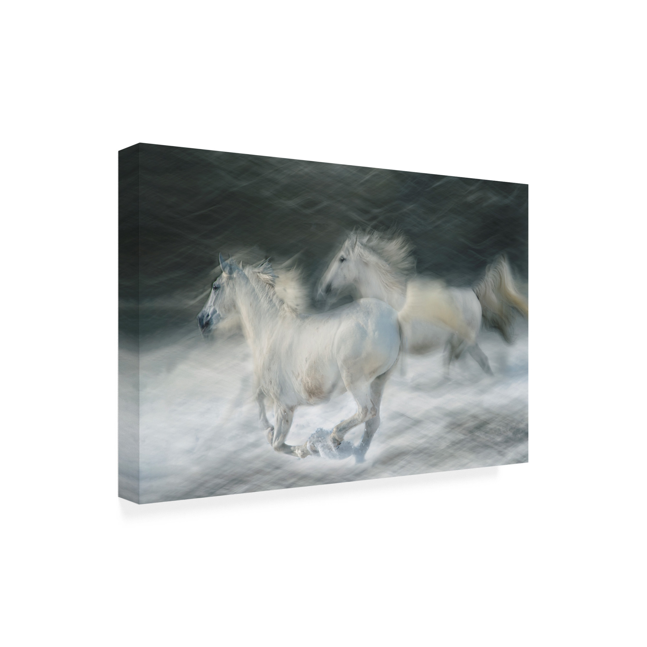 Trademark Fine Art Milan Malovrh Gallop In A Duel Canvas Wall Art