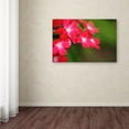thumbnail image 3 of Trademark Fine Art "Paired Ornament" Canvas Art by Monica Mize, 3 of 3