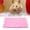 Pink, variant on BIMZUC Rectangular Plush Bed Mat for Hedgehog, Guinea Pig, Hamster - Soft House Nest Cushion, Pink (9.45x7.09x1.57 inches / 24x18x4 cm)