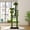 Green, variant on Leumius 72" Cat Tree with Transparent Capsule,Sisal Scratching Posts,Plush Perches and Interactive Toys,Multi-Level Cat Activity Center Furniture for Kittens and Large Cats Gray