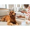 thumbnail image 6 of Paw Ready Dental Hygiene Kit Small Orange for Puppies, Dogs and Cats, 6 of 9