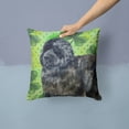 thumbnail image 2 of Carolines Treasures BB9845PW1414 Newfoundland St Patricks Fabric Decorative Pillow  14Hx14W multicolor, 2 of 4