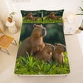 thumbnail image 5 of Erosebridal Funny Capybara Bed Sheets,Wild Rodent Animals King Sheets For Kids Teens 4-Piece, 5 of 6