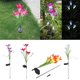 thumbnail image 5 of Accesorios  para iluminación de jardín, césped, Gloria Luz de jardín, 5 of 9