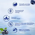 thumbnail image 4 of Vitaplynxera Raw Moringa Liquid Drops 8000 mg, Oleifera Leaf Extract w. Supergreens Blend of Wheatgrass, Barley Grass for Antioxidant, Energy & Immune, High Potency than Capsules Powd, 4 of 9