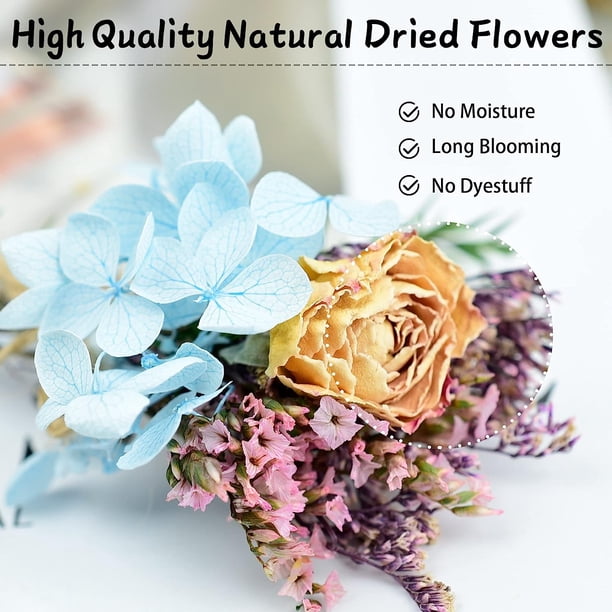Holzlrgus Dried Flowers - 13 PCS Mini Dried Flower Bouquet 
