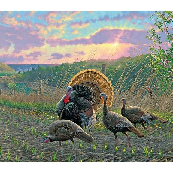 wooden puzzle Turkeys in Field at Sunset Intelligent Game Fit togather a magic Art for home Decoration or Prensent 300 pieces