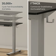FLEXISPOT 55x28 Home Office Height Adjustable Standing Desk with Hooks, Ergonomic Electric 2-Stage Stand Up Computer Desk, Gray and Black
