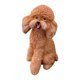 thumbnail image 3 of Estatua de perro para decoración de jardín, coleccionable, bonita figura de cachorro para dormitorio marrón, 3 of 9