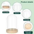 thumbnail image 6 of DIY Glass Cloche Bell Jar Display Dome Case with Wood Base Glass Decoration Bottles for Plants Flower Display Clay Succulents Storage Home Christmas Party Favor Decoration 3.5x2.9 inch, 6 of 8