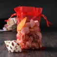 thumbnail image 6 of 100 Pcs Clear Gift Bags Birthday for Presents Sheer Organza Gifts Drawstring Small Red, 6 of 6