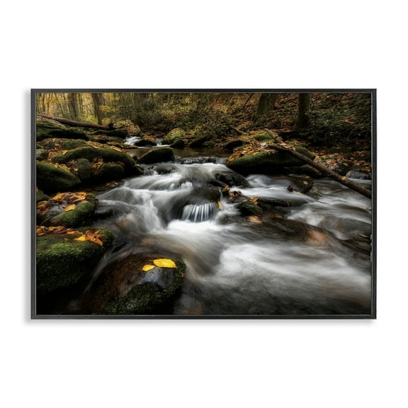 Stupell Industries Fallen Leaves on Stream Black Framed Giclee Art design by D. Burt, 12 x 18