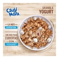 thumbnail image 3 of Granola Cruji Nola yogurt 330 g, 3 of 3