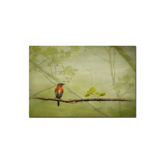 Trademark Fine Art "Bluebird in Spring" Canvas Art by Lois Bryan