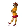 Advanced Graphics Velma - Scooby-Doo Mystery Incorporated Cardboard Standup