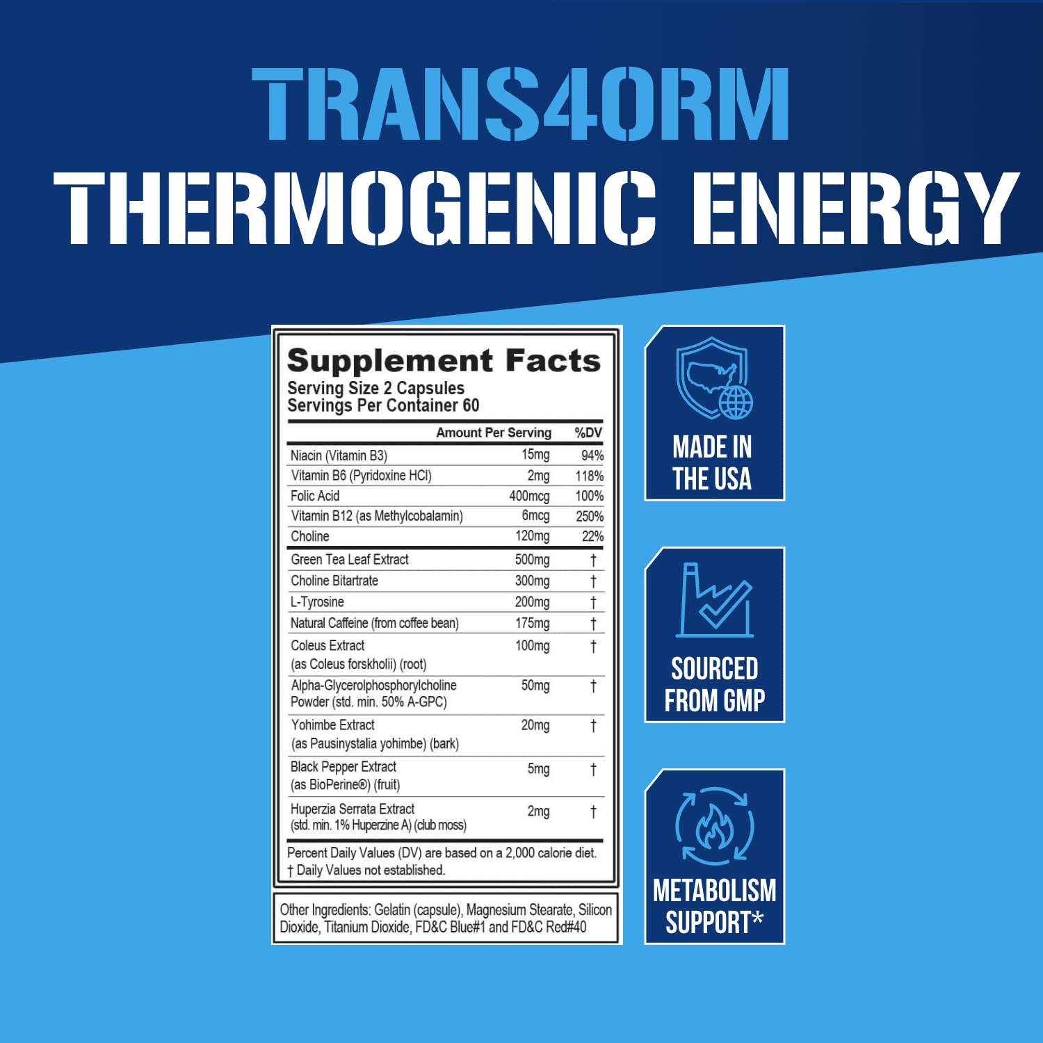 Trans4orm Thermogenic Fat Burner Supplement - EVL Nutrition Weight Loss Pills Metabolism Booster - Appetite Suppressant for Weight Loss Diet Pills for Men & Women (60 Servings)
