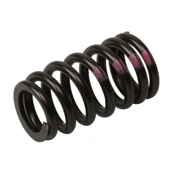GM 55571551 Engine Valve Spring