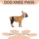 thumbnail image 3 of La rodillera para perros es aplicable a la recuperación de una cirugía de rotura o distensión del ligamento de la pata trasera del perro., 3 of 5