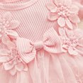 thumbnail image 6 of Riecok Baby Girl Infant 1st Birthday Princess Romper Dress Mesh Skirt 3D Flower Applique Ruffle Sleeve Occasion Dressy Pink 0 M, 6 of 8
