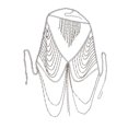 thumbnail image 1 of Cadena Bikini Fernando Sujetador de Cuerpo Múltiples Capas, 1 of 8