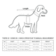 thumbnail image 5 of Popetpop Perro Chaleco de enfriamiento para perros Chalecos de enfriamiento para mascotas Chaleco de malla Chaleco Paño Suministro de PET (TAMAÑO S), 5 of 6