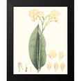 thumbnail image 2 of Smith, George 20x24 Black Modern Framed Museum Art Print Titled - Soft Tropical VII, 2 of 5