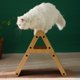 thumbnail image 1 of Rascador Vertical duradero para gatos Fernando Rascador vertical para gatos de cartón 45,7 cm x 25 cm x 40,8 cm, 1 of 8