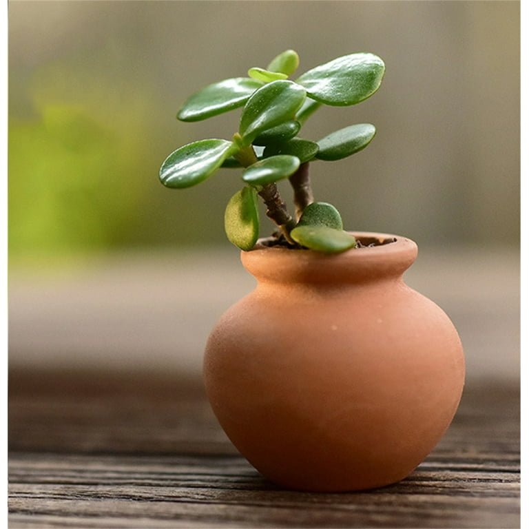 8 Pcs Tiny Terracotta Pot,Happon 1.2*0.9inch Small Mini Clay Pots,Tiny  Terra Cotta Pots,Small Flower Pots,Pottery Planter for Indoor Outdoor  Plants ...