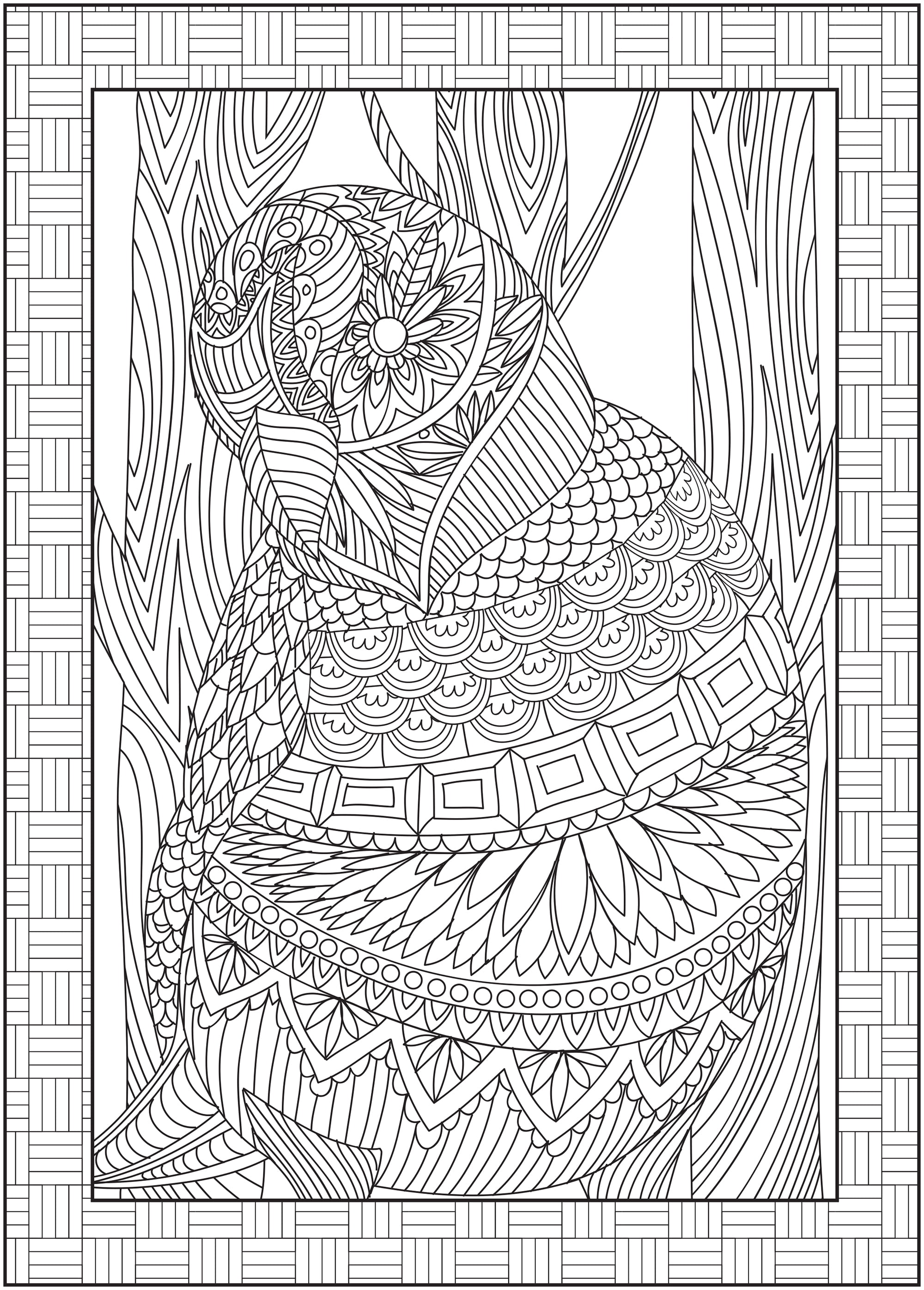 Timeless Creations Beautiful Butterflies Coloring Book