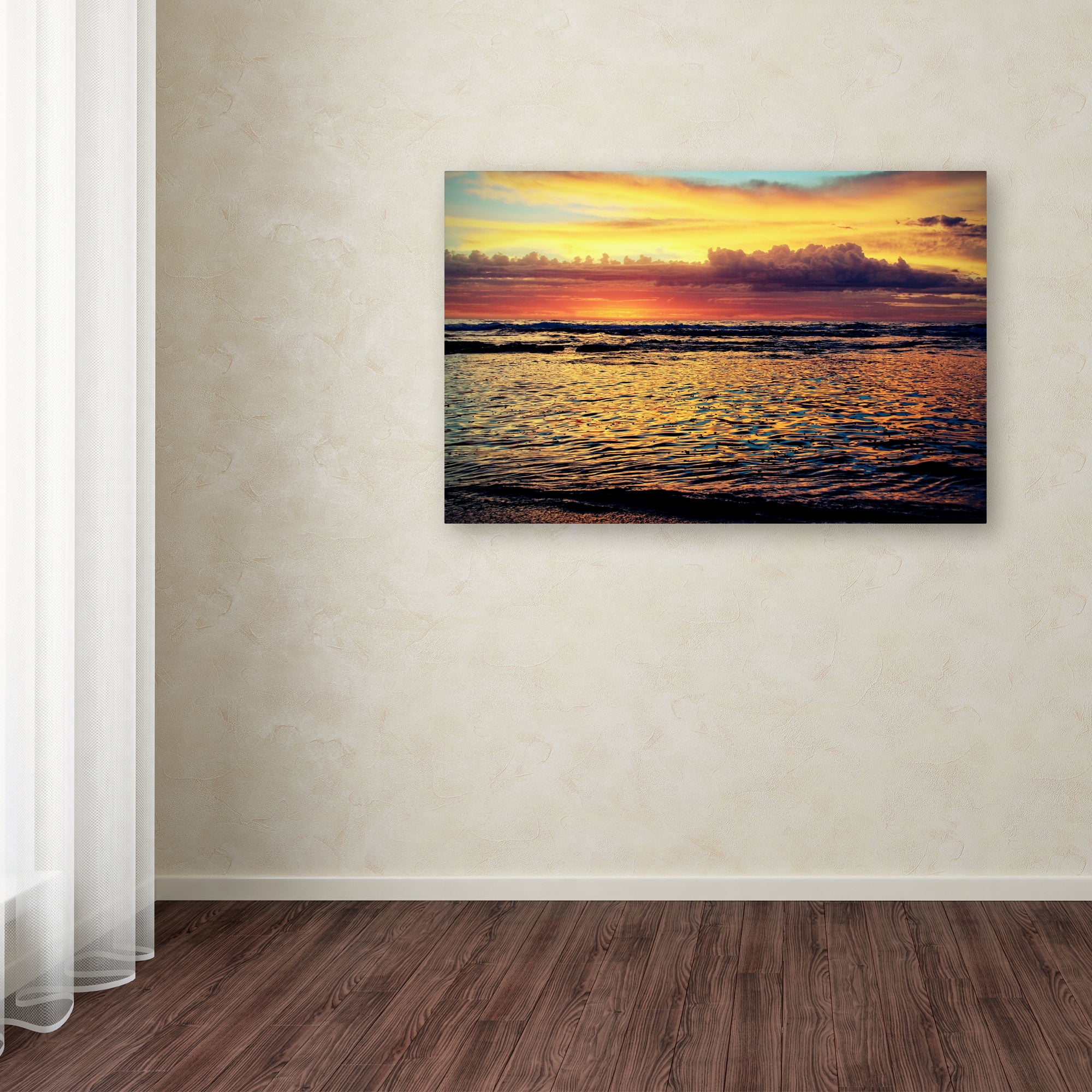 Trademark Fine Art "Morning Glory" Canvas Art by Beata Czyzowska Young
