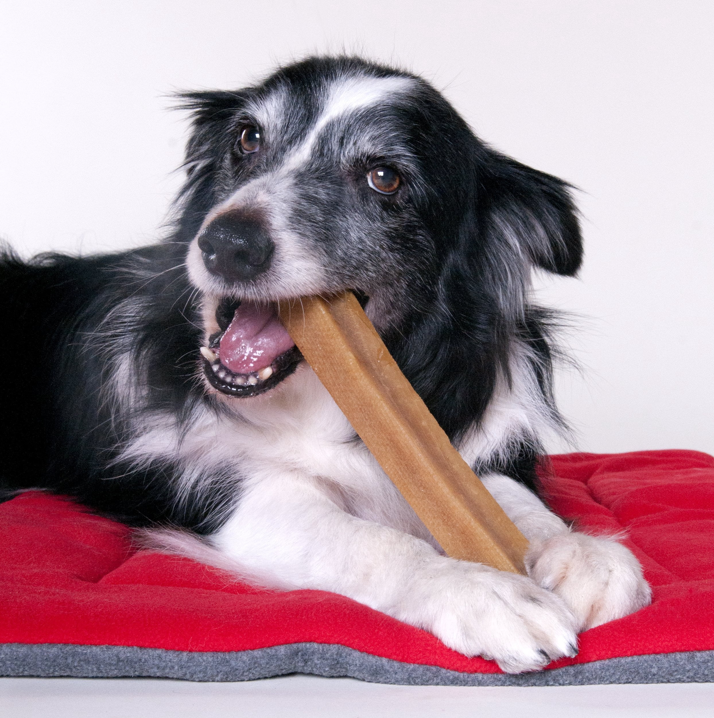 Downtown Pet Supply Bully Sticks For Dogs & Yak Chew Dog Treats 3 Pack Rawhide Free