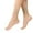 Khaki, variant on LMTODLFG Stockings for Women Plus Size 6 Pairs Sheer Ankle Sock Lady Nylon Socks for Women Ankle High Sock Sheer Stocking No Show Socks Khaki