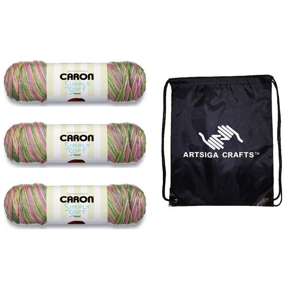 Caron Simply Soft Paints Rose Garden 294021-21002 (3-Skeins - Same Dye Lot) Worsted Medium #4 Acrylic Yarn for Crocheting and Knitting - Bundle with 1 Artsiga Crafts Project Bag