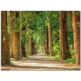 thumbnail image 1 of Trees Forest Ceramic Tile Mural Kitchen Backsplash Bathroom Shower 401683-XL43, 1 of 3