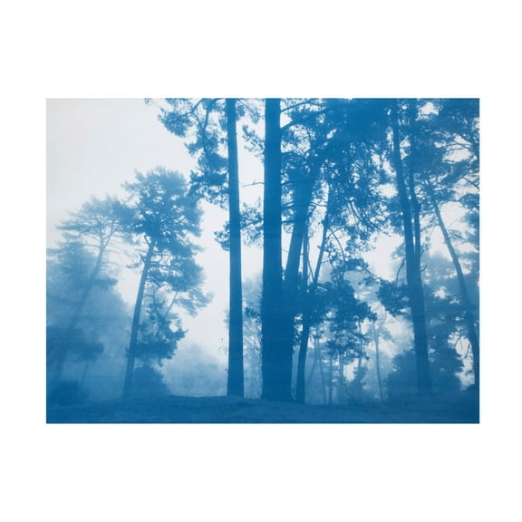 Canvas Wall Art - Christine So 'Morning Valley Light' Wall Art for Living Room, Bedroom, or Office Décor by Trademark Fine Art - 19 x 14 Inches