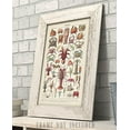 thumbnail image 4 of French Crustaceans Art Print - 11x14 Unframed Art Print - Great Beach House Wall Decor, 4 of 6