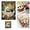 D, variant on Ghost Diamond Art Painting Kit, Toilet Cat Ghost 5D Diamond Painting Dots Art Kit for Adults Beginner, DIY Full Round Gem Crystal Art Paint by Diamond, 11.8" x 15.7" Home Wall Decor