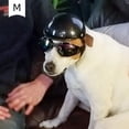 thumbnail image 2 of Casco para mascotas NQ casco duro para perros casco de motocicleta para perros color lino, 2 of 5