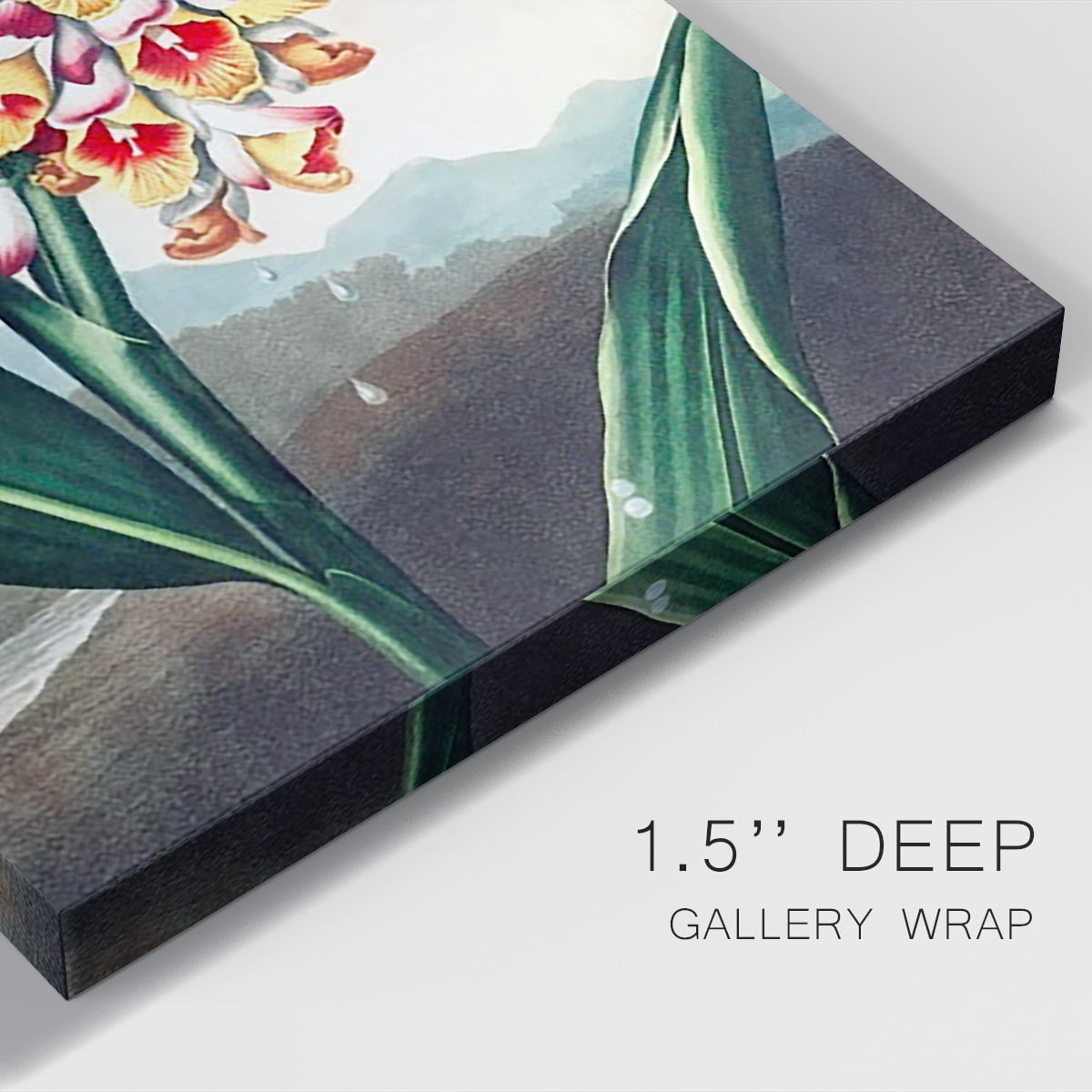 Temple of Flora VII Premium Gallery Wrapped Canvas - Ready to Hang