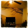 thumbnail image 2 of Innovative Stencils Tree Top Branches Wall Decal Vinyl Sticker 100" Wide X 44" High (Mirrored Version), 2 of 3