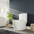thumbnail image 2 of Eviva Denali One Piece Toilet in White, 2 of 15