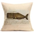 thumbnail image 2 of 4 Pack Sea Animal Whale Home Decor Pillowcase Different Whale Species with Text Introduction Cotton Linen Throw Pillow Case Cushion Cover Protector 18x18 Inches, 2 of 7