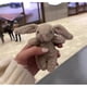 thumbnail image 1 of Large collection of plush toys, plush dolls, dolls, gifts, bags, and keychains 12CM, 1 of 1