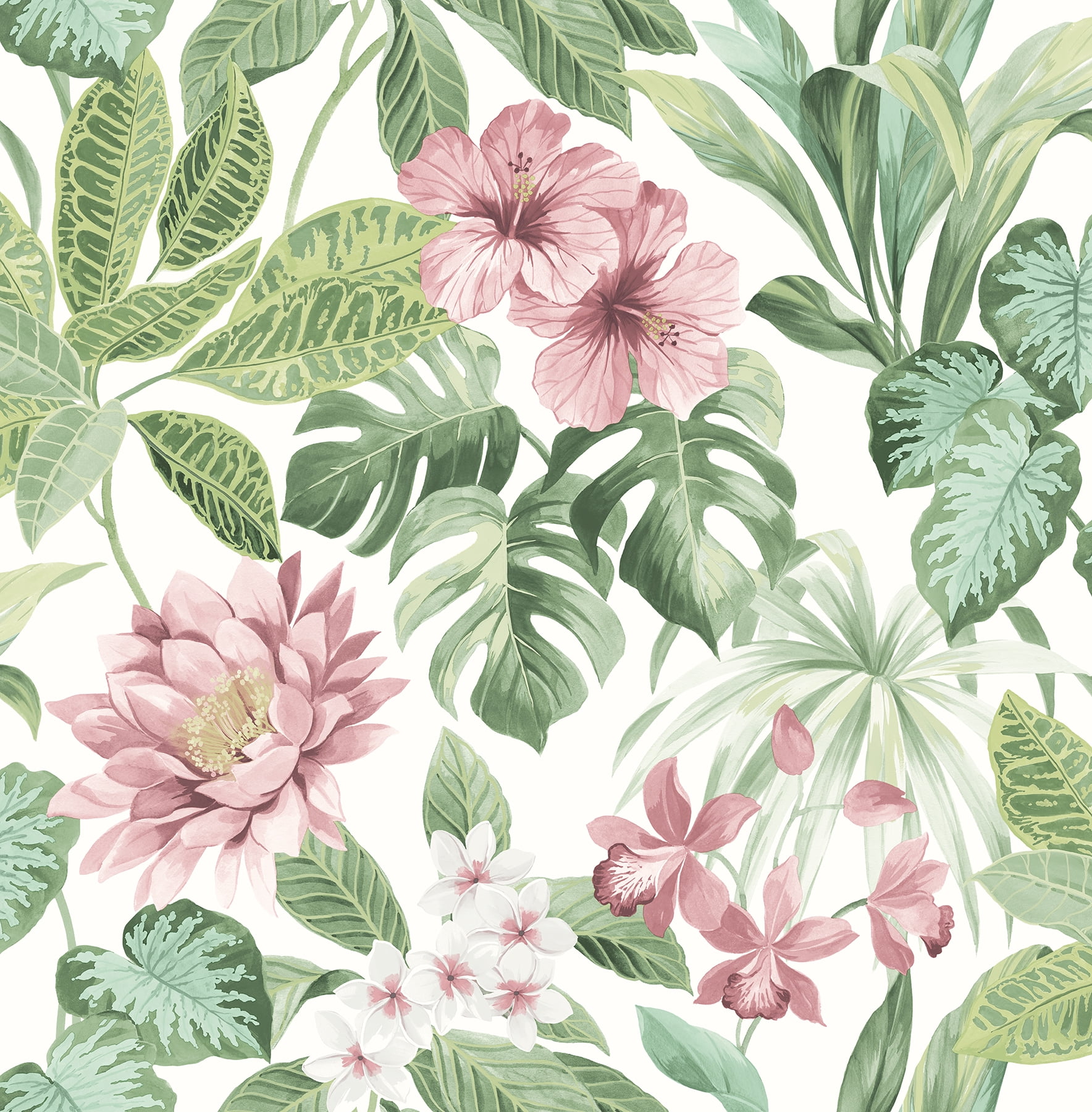 Brewster Josefa light green Tropical Wallpaper