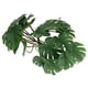 thumbnail image 2 of Ratán de Hoja de Tortuga, Plantas de Palma Artificiales inofensivas deja fáciles de Mantener con taza de succión para el tanque de la selva tropical, 2 of 7